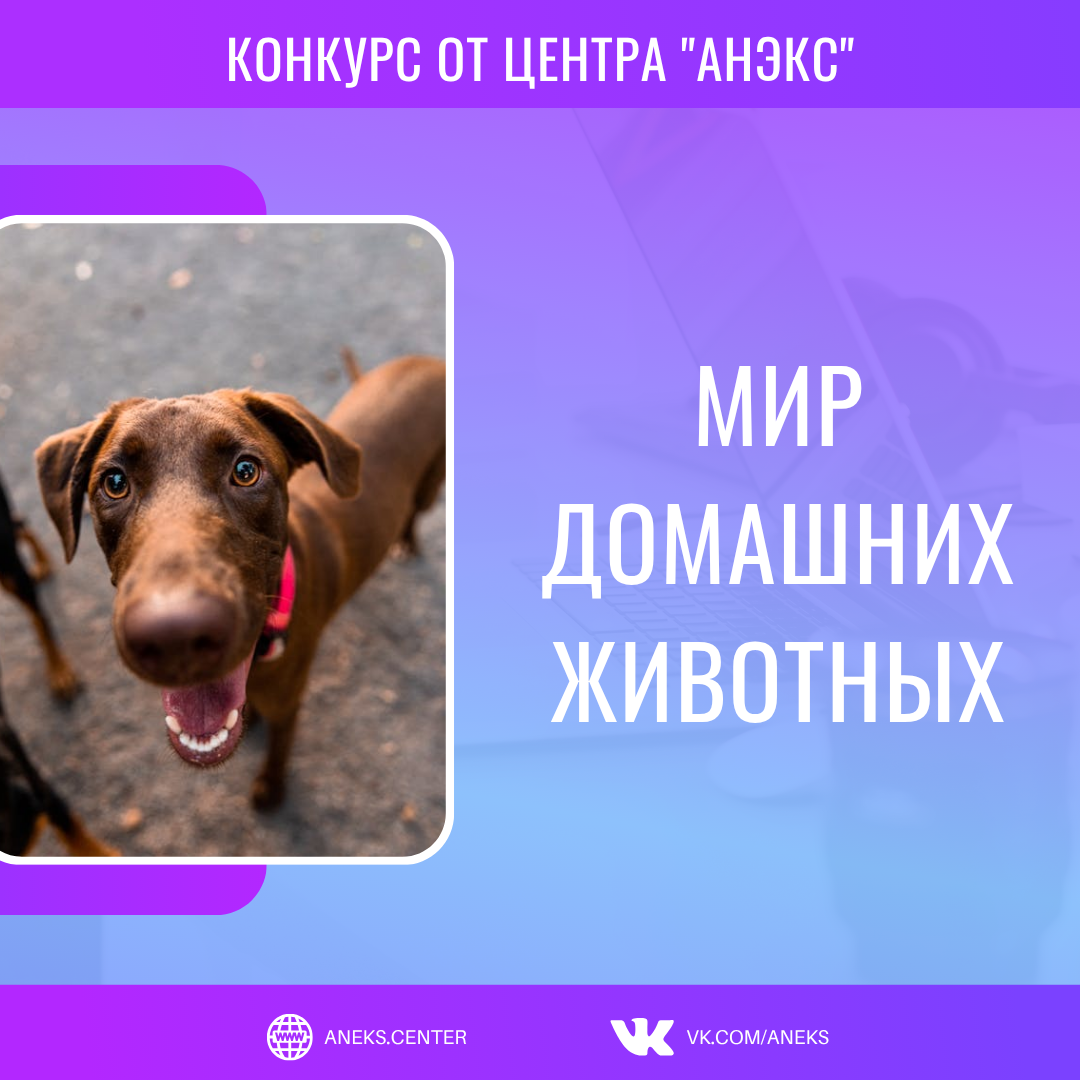 МИР ДОМАШНИХ ЖИВОТНЫХ